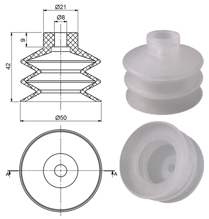 D50-42-SI 8_9.png